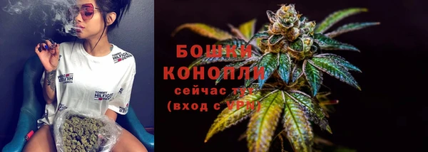 индика Снежногорск