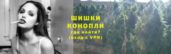 индика Снежногорск
