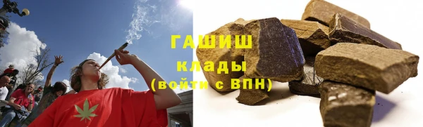 индика Снежногорск