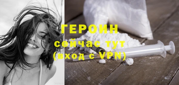 индика Снежногорск