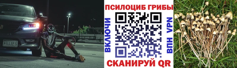 Псилоцибиновые грибы прущие грибы  Бронницы 